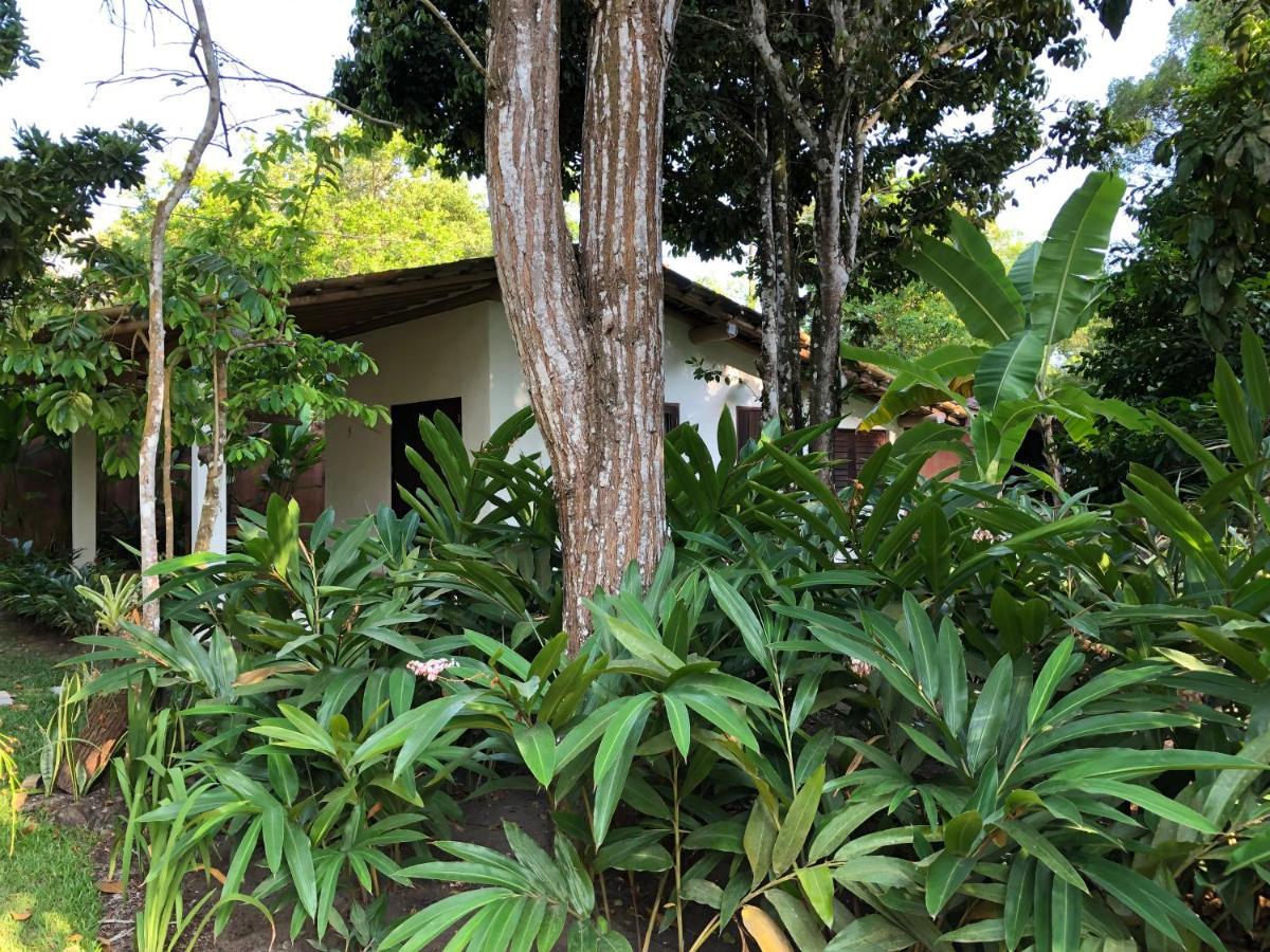 Casa Aracua Trancoso Villa Eksteriør billede